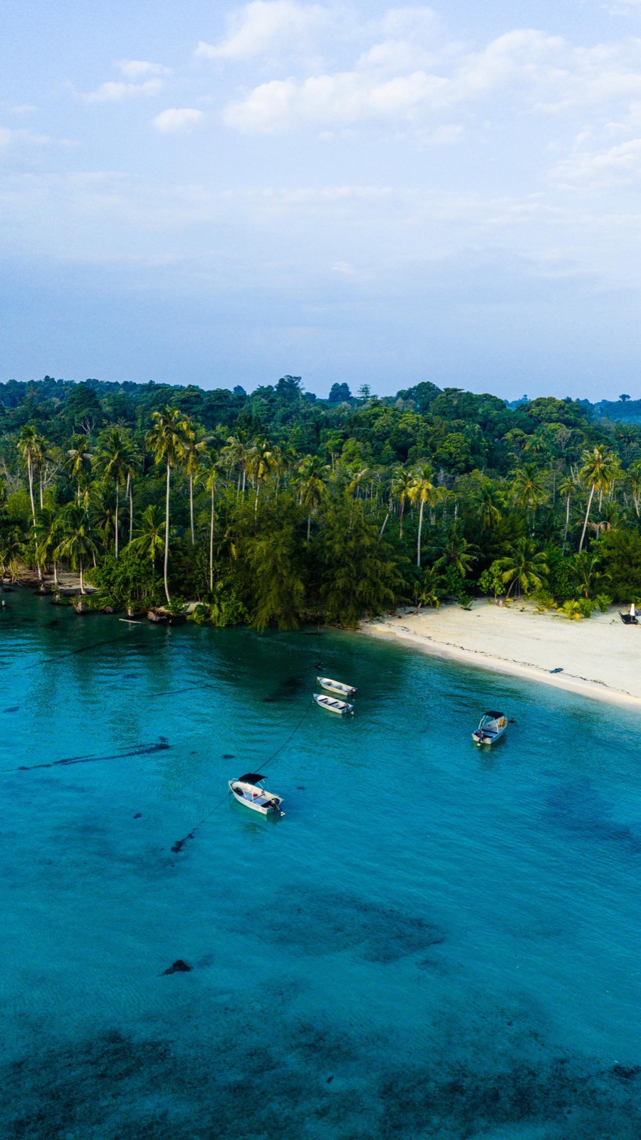 Turquoise bay with fishing boats, Mentawai Islands