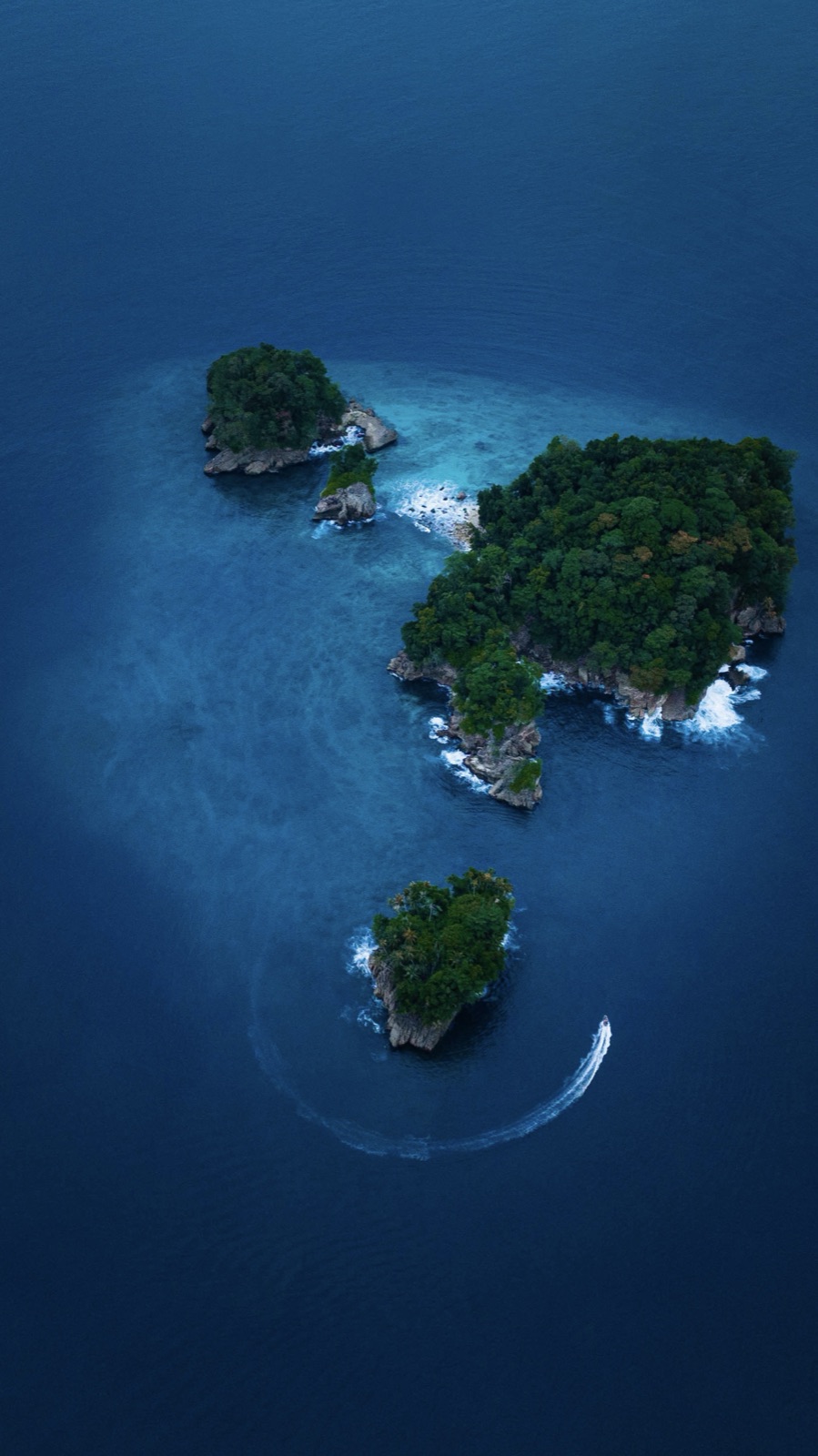 Aerial view of rocky, palm-covered islets in the Indian Ocean