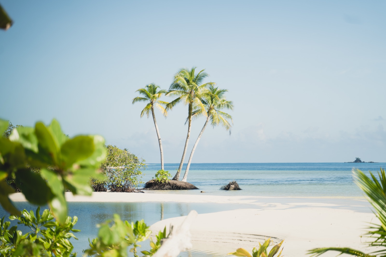 Three coconut palms growing from a small sandbar in a calm turquoise lagoon, Mentawai Islands, Indonesia