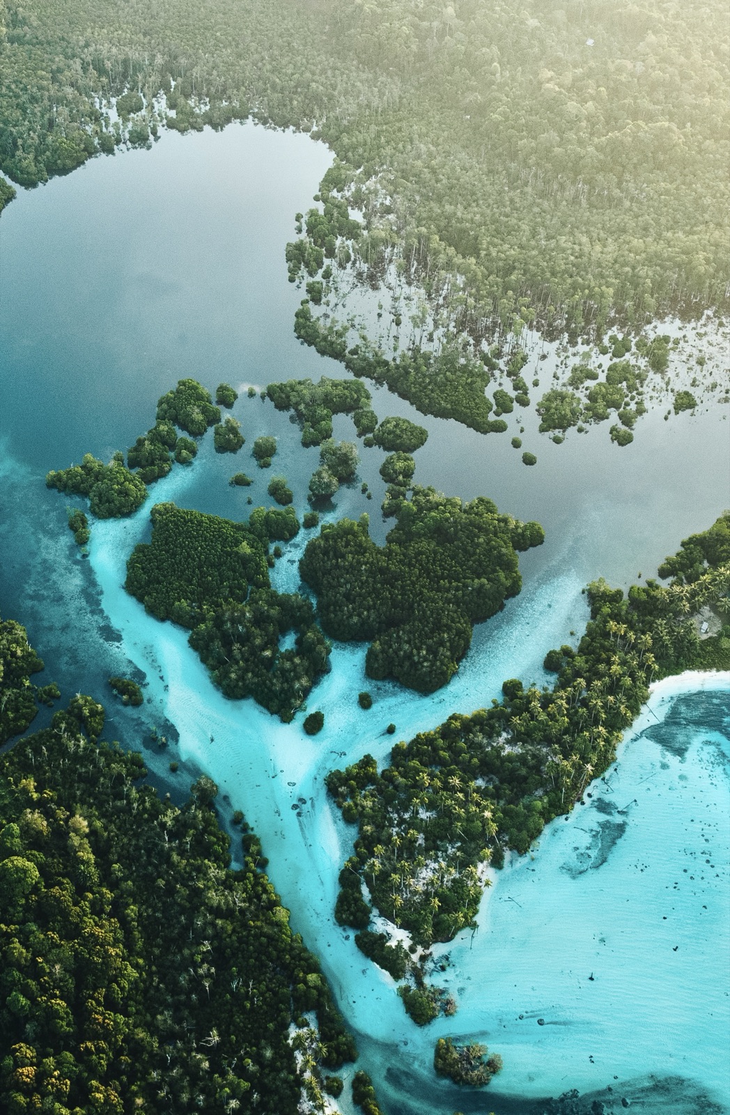 Aerial view of a mangrove river delta winding through jungle to a turquoise bay, Mentawai Islands